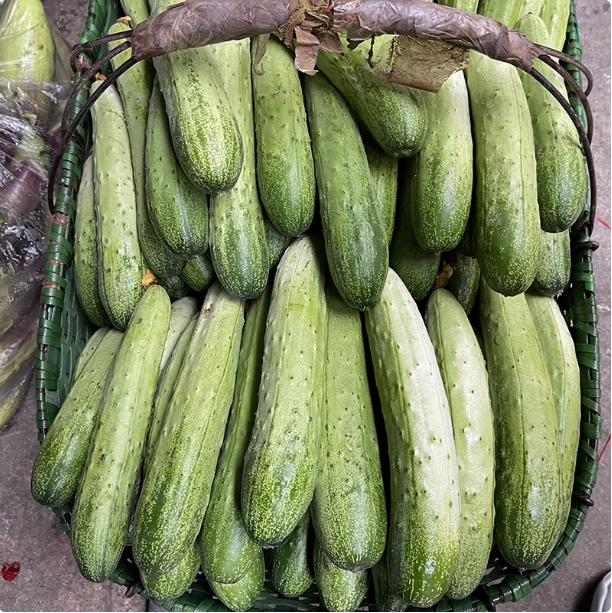 湘西新鲜应季老品种旱黄瓜口感脆嫩可拍可腌