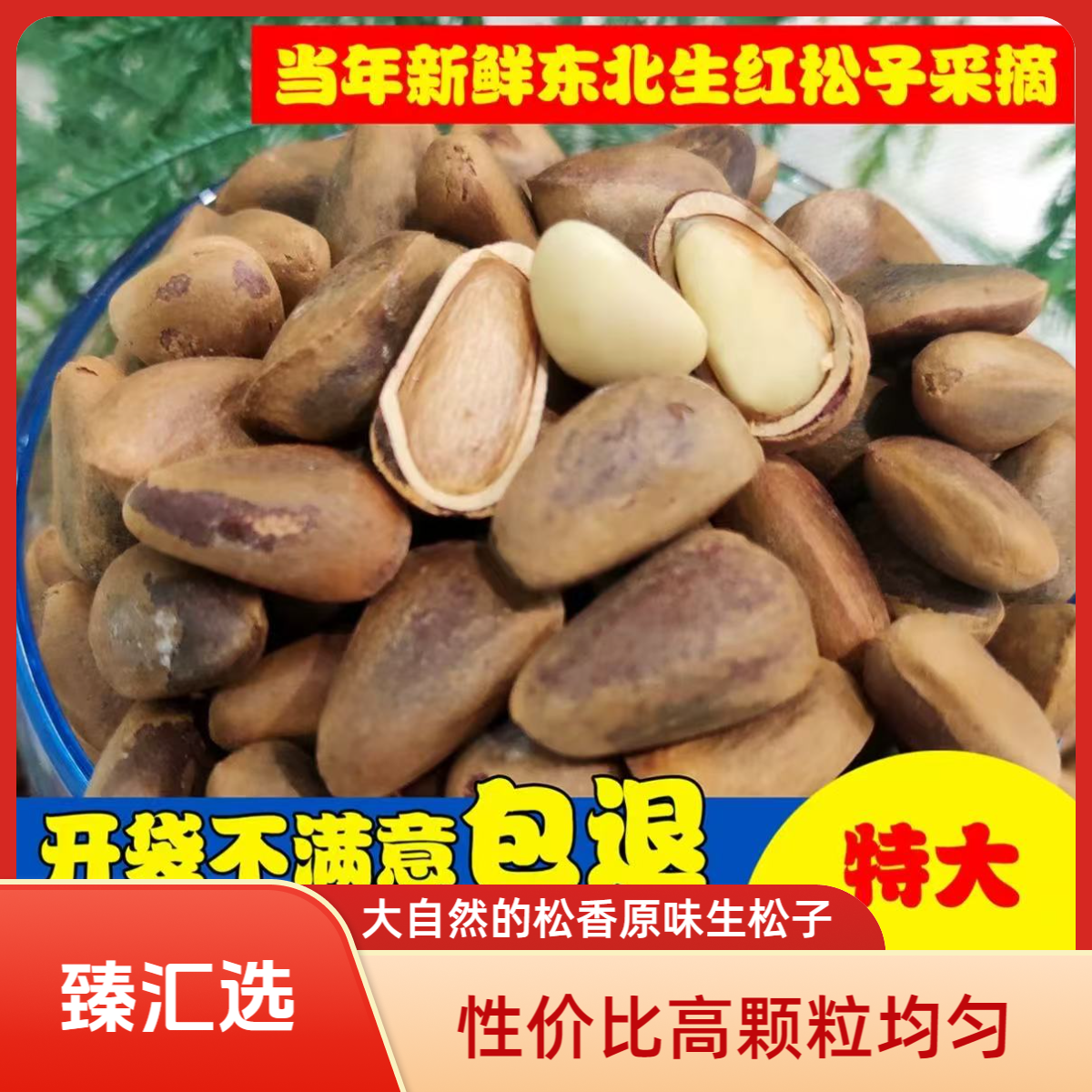 【臻汇选】25年新货东北大颗粒原味生松子