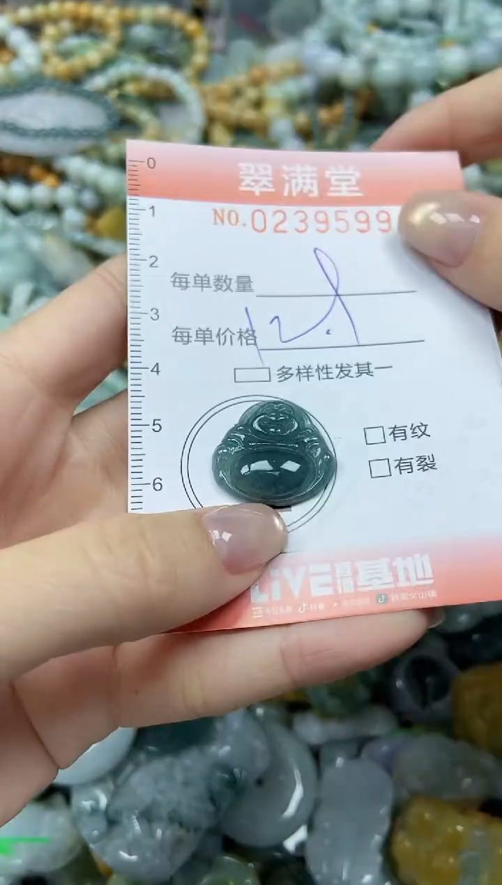 颈饰未镶嵌翡翠闪购0239599