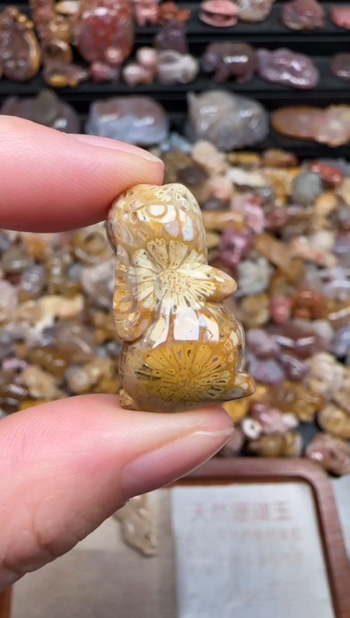 颈饰未镶嵌硅化珊瑚（珊瑚玉）216