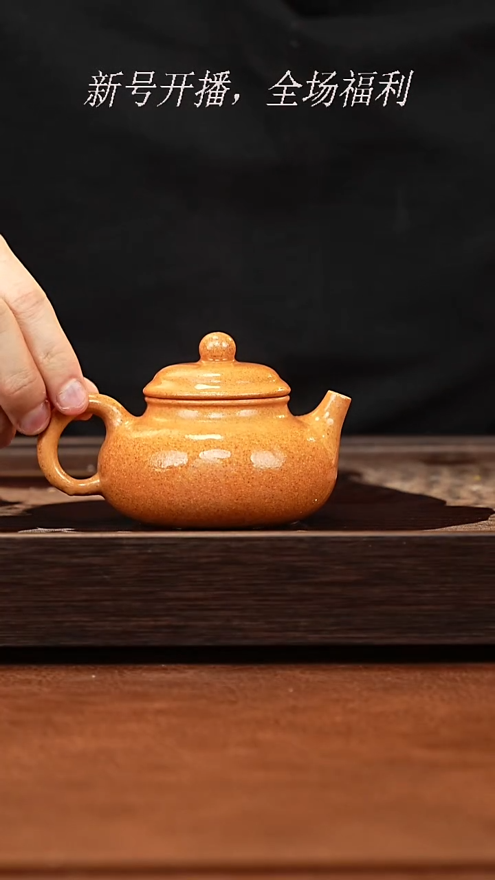 茶壶紫砂30y02 容天