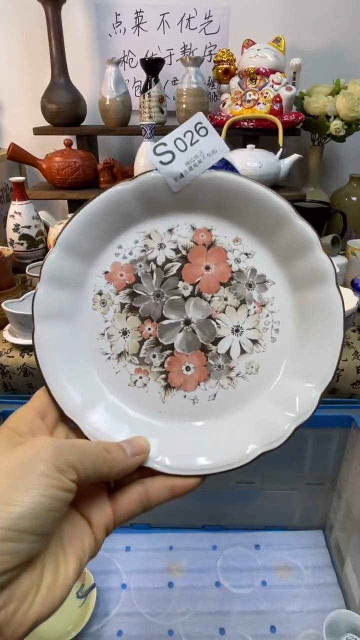 瓷片-S-        026