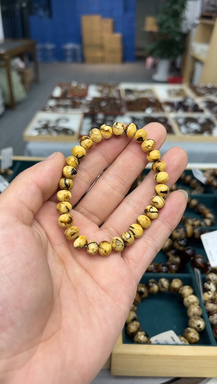 裸石琥珀未镶嵌觉抚顺琥珀8+多样性发其一