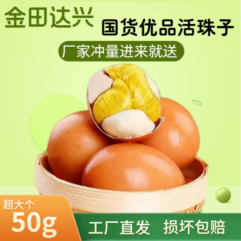 金田达兴13天新鲜五香香辣活珠子鸡胚蛋钢化蛋真空包装即食