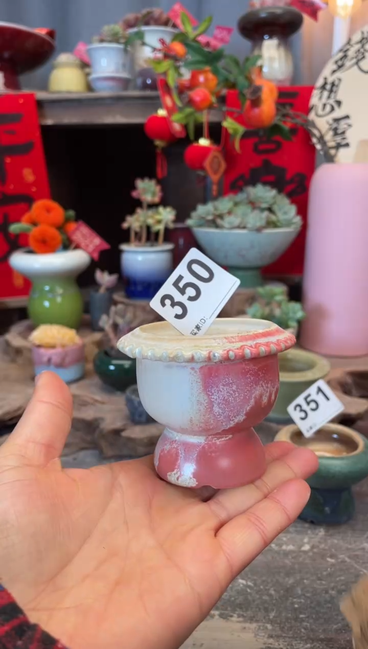 【闪购商品】摆件350微瑕福利知木小芳花盆