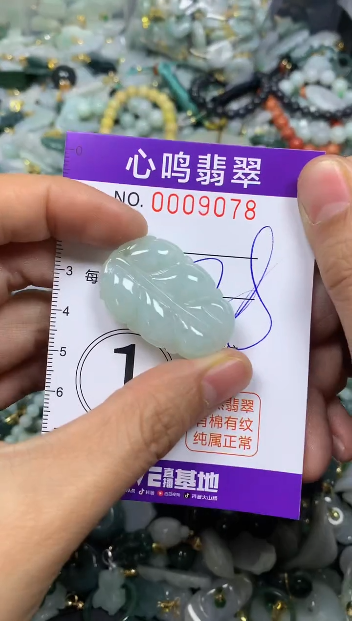 【闪购商品】翡翠颈饰未镶嵌闪购009078