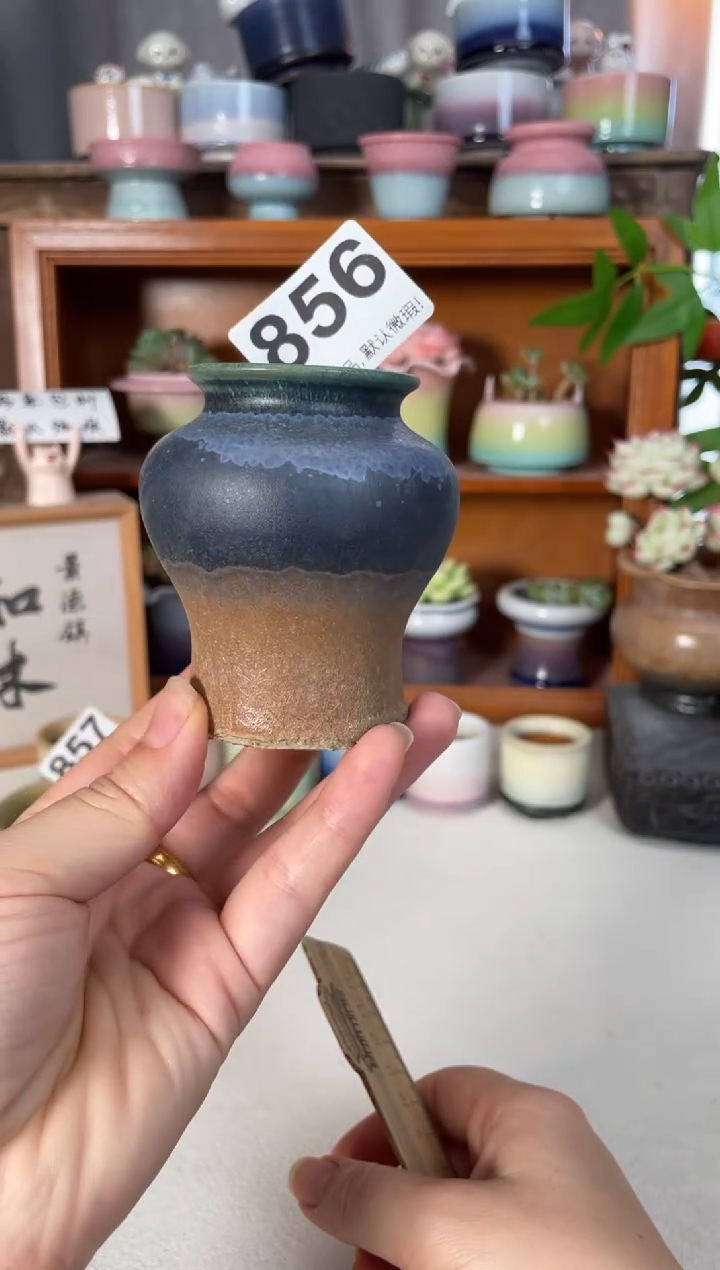 瓷片856微瑕知木小芳花盆