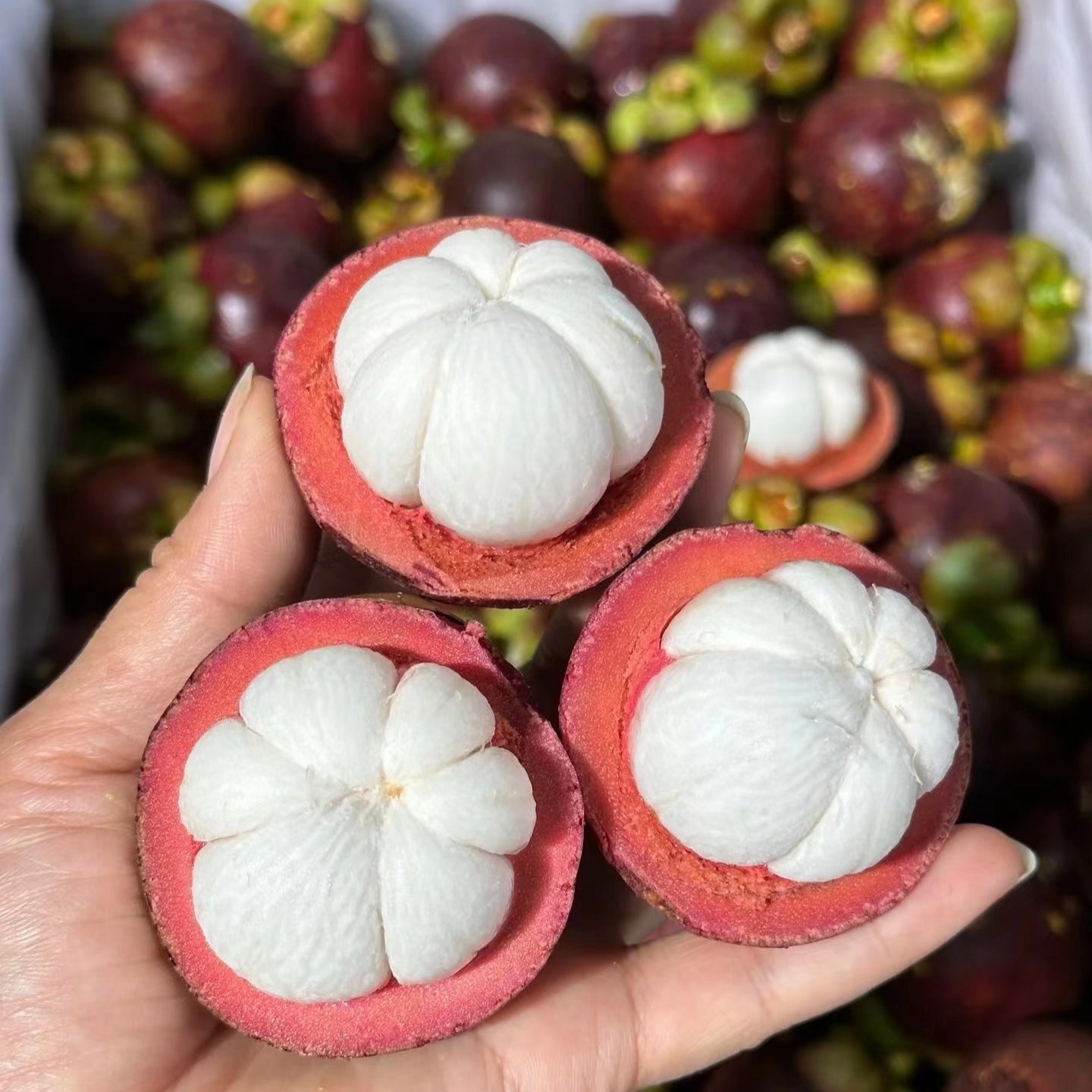 泰国5A山竹 新鲜发货 40年数龄老树麻竹2斤/5斤/8斤装只发川渝