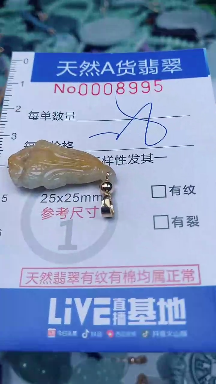 翡翠未镶嵌颈饰00008995