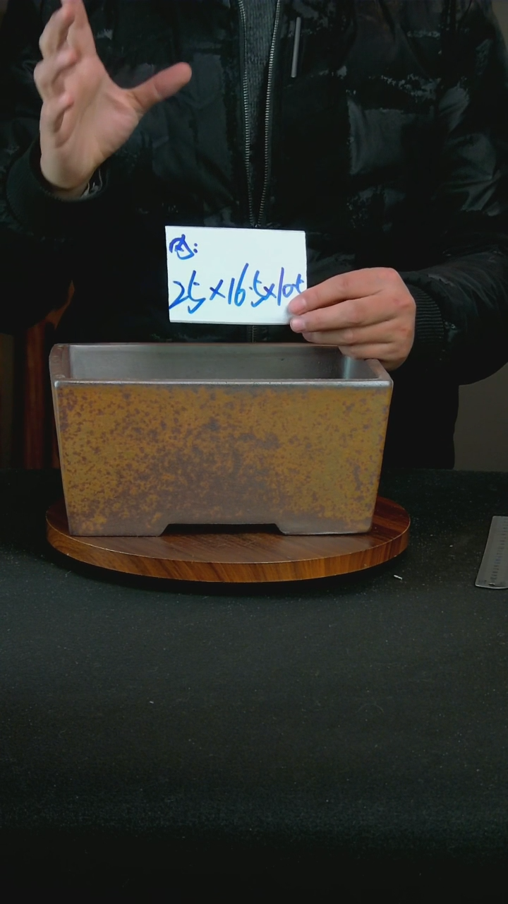 【闪购商品】紫砂S33