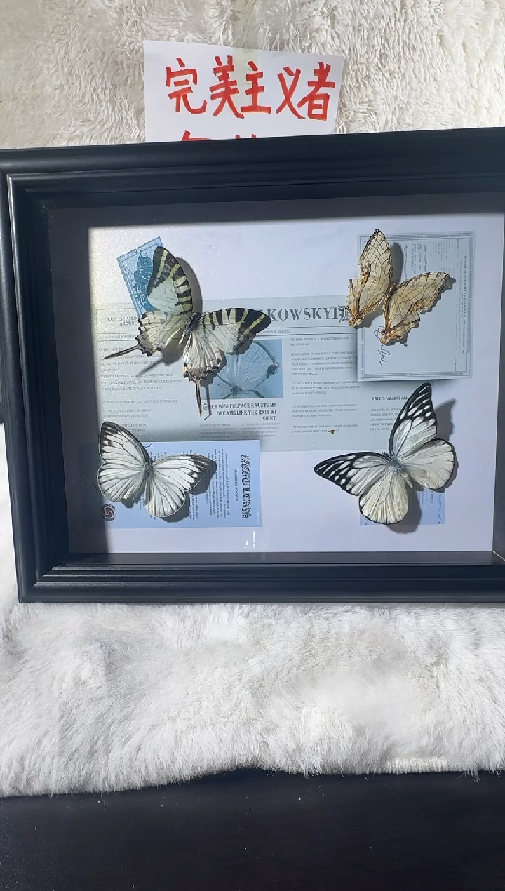 四只蝴蝶横斑10寸相框   