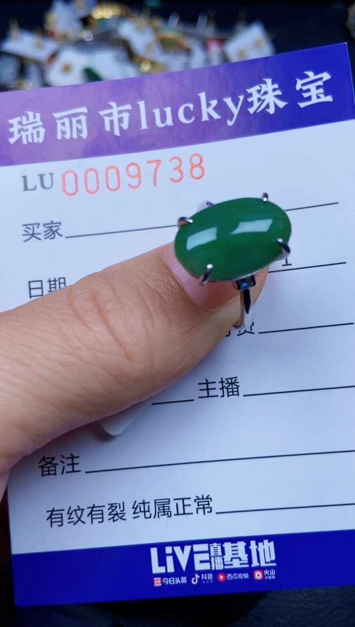 【闪购商品】翡翠颈饰银S925镶嵌9738