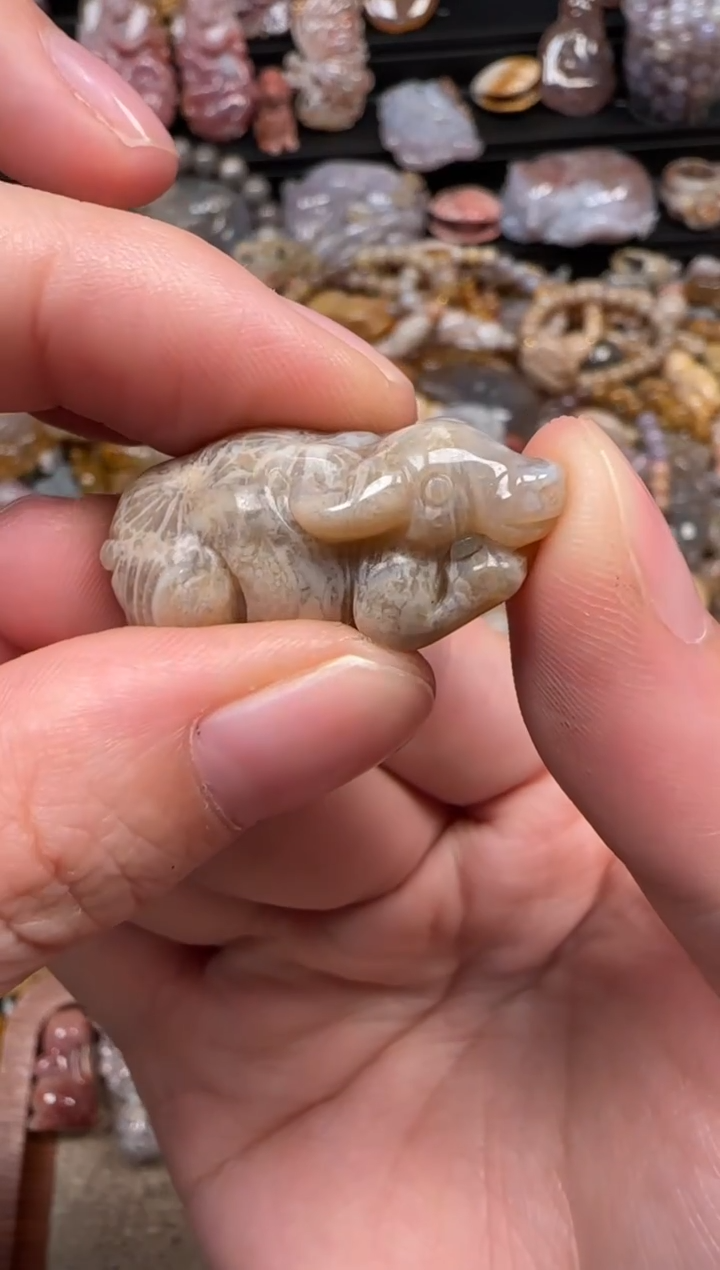 颈饰未镶嵌硅化珊瑚（珊瑚玉）757