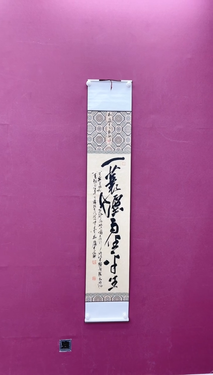 【闪购商品】书法一蓑烟雨任平生书法作品