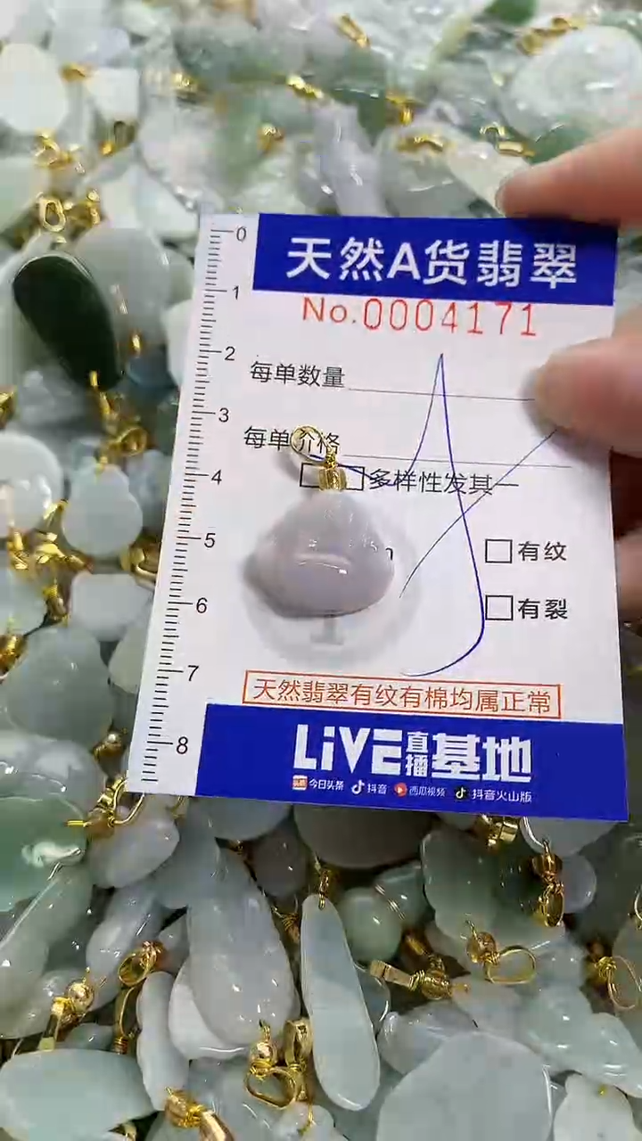 颈饰未镶嵌翡翠天然A货翡翠