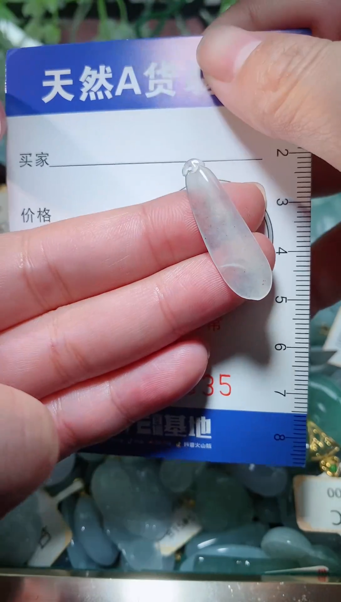 【闪购商品】翡翠颈饰未镶嵌天然A货翡翠一件