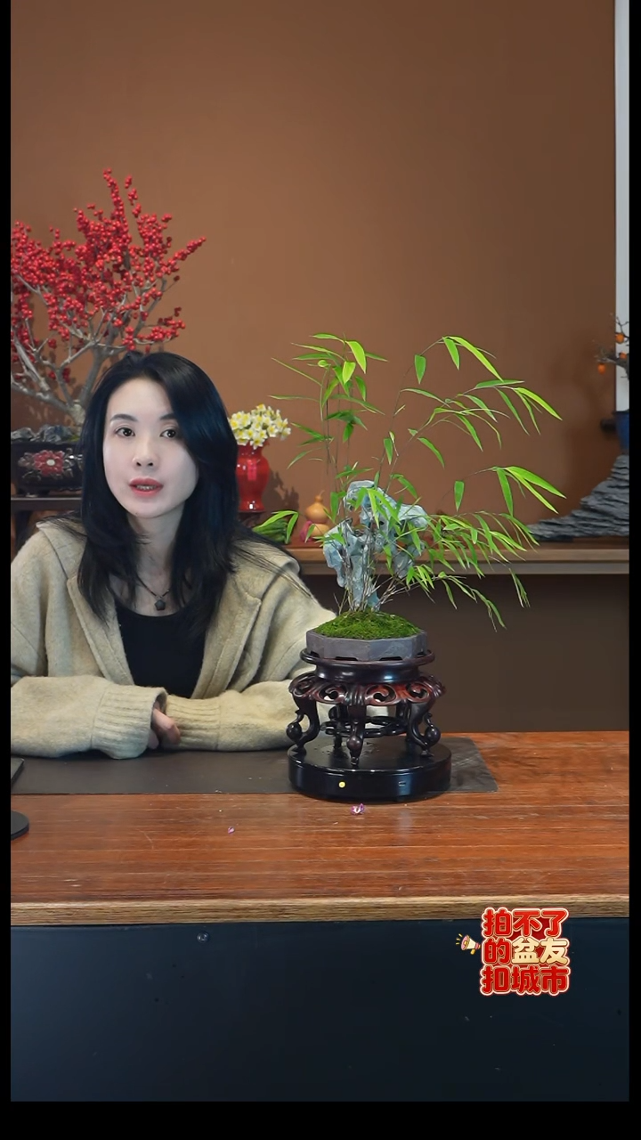 全部花朵内门竹盆