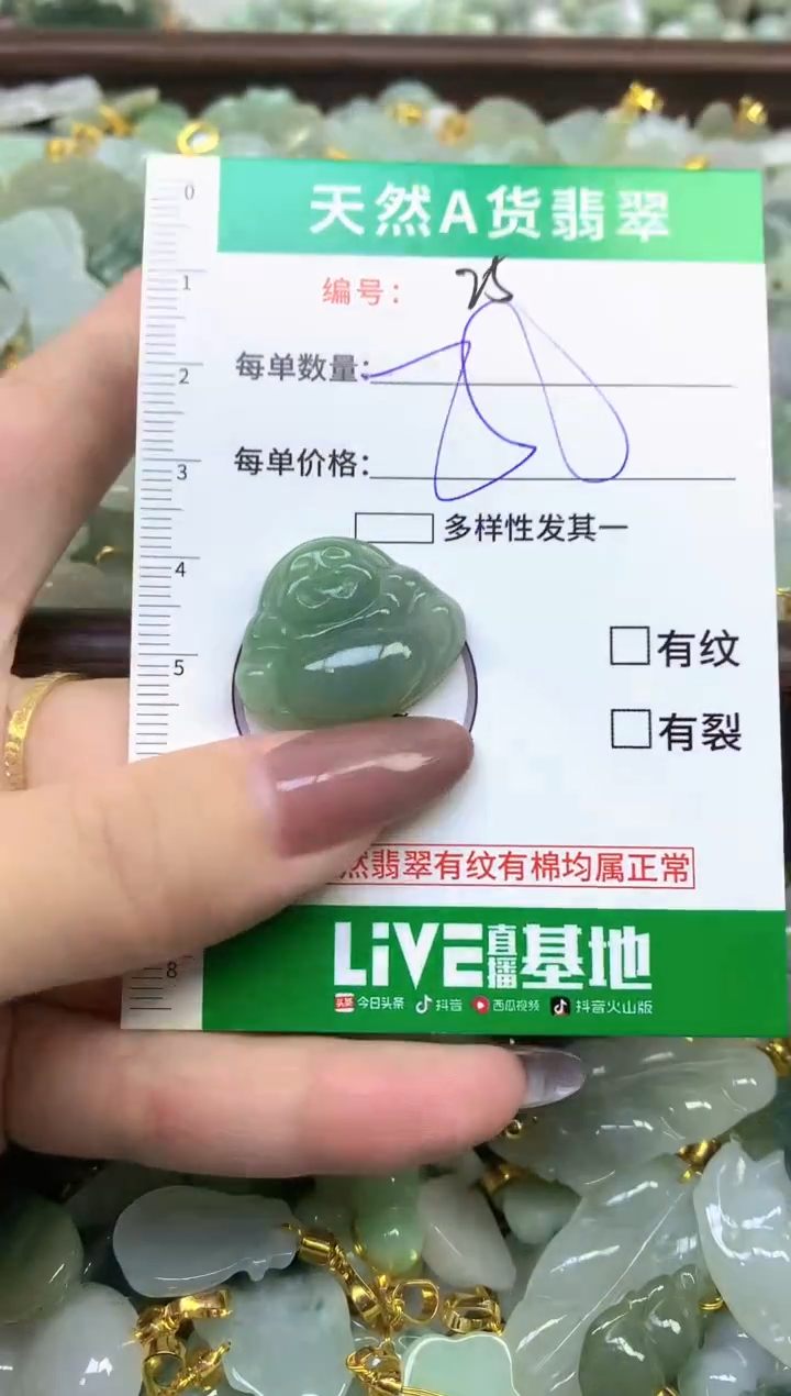 颈饰未镶嵌翡翠纯天然缅甸A货翡翠