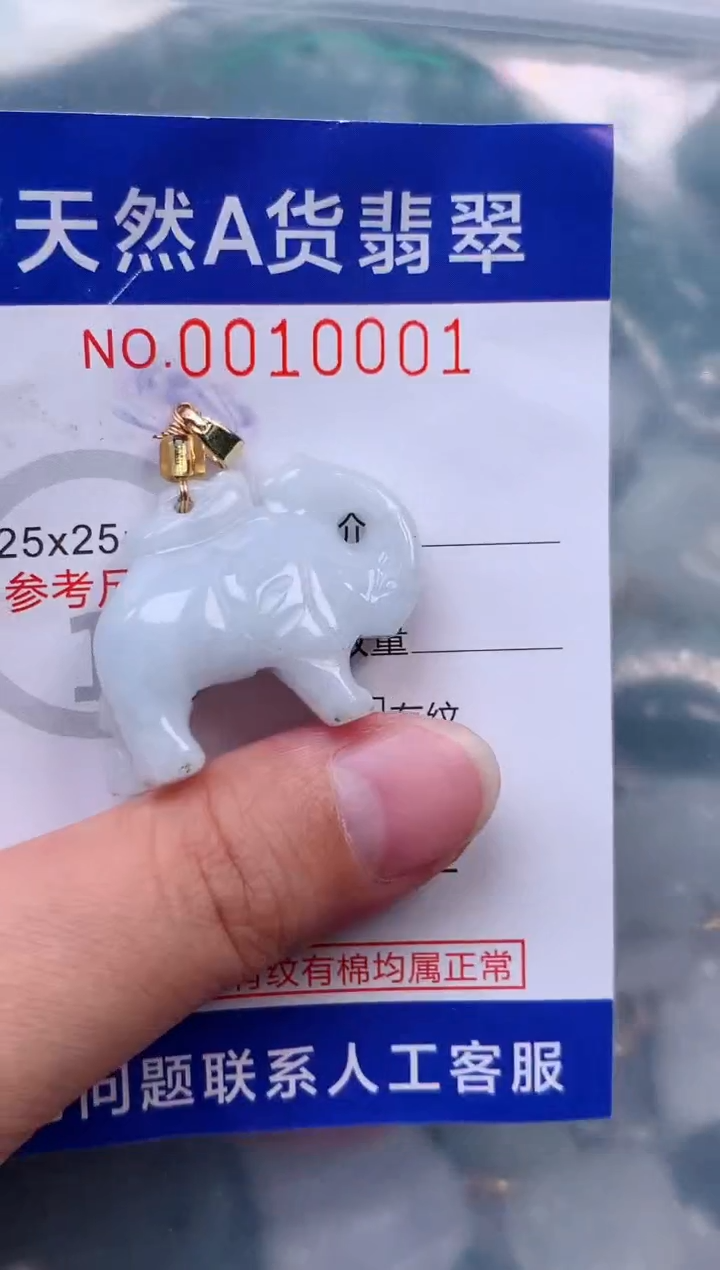 吊坠(赠链)未镶嵌翡翠1