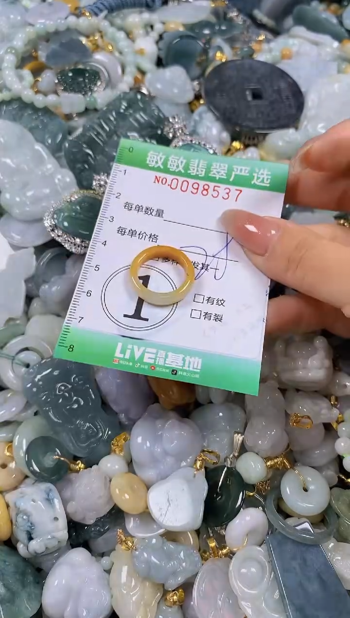 【闪购商品】翡翠颈饰未镶嵌闪购0098537