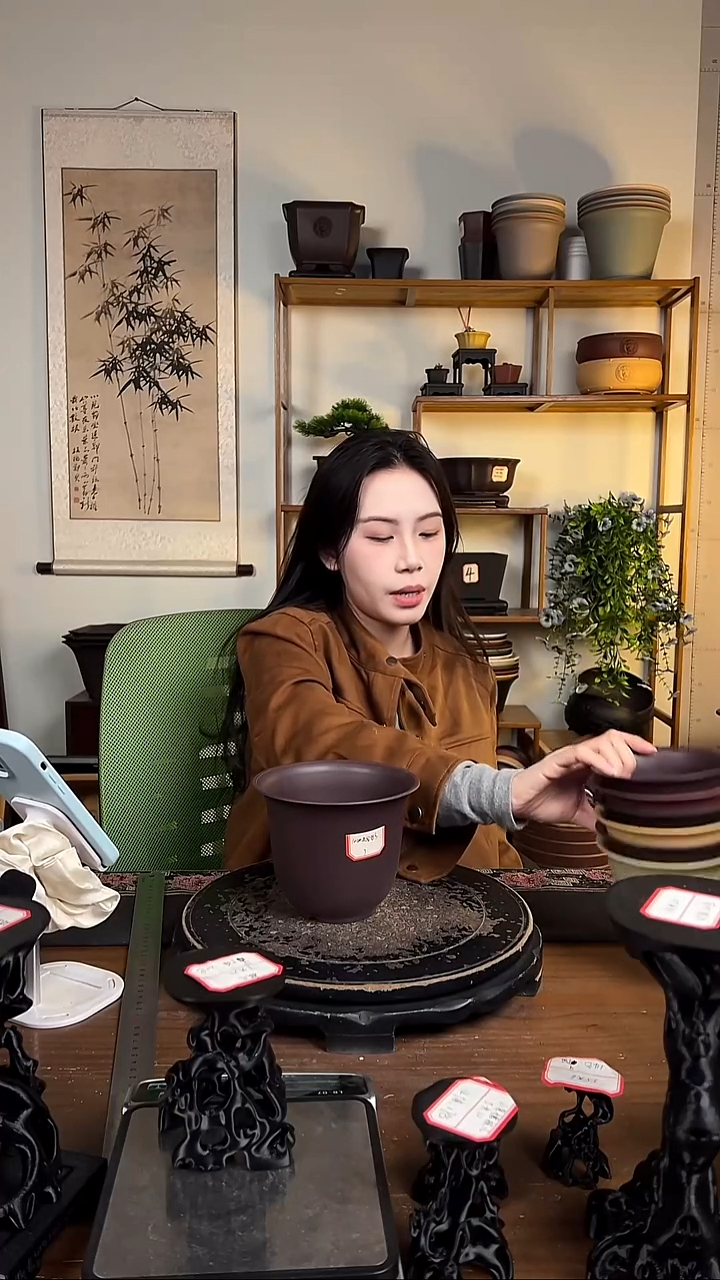 10只15口径金钟紫檀色