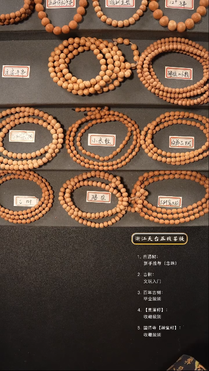 【闪购商品】五线菩提吊坠手串