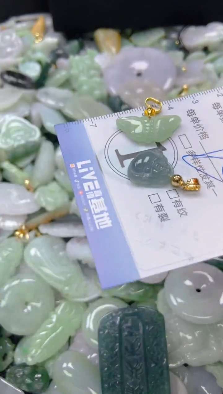 【闪购商品】翡翠颈饰未镶嵌闪购0085598