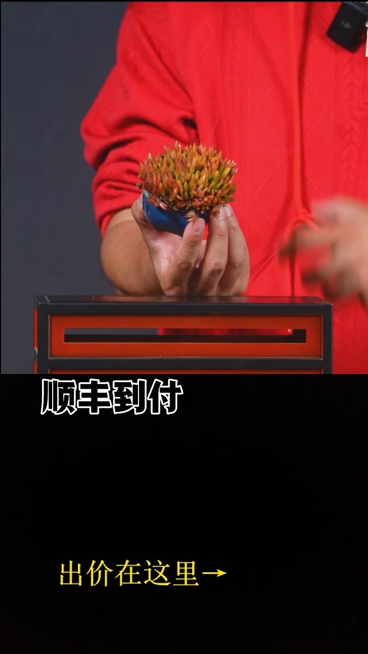 以实际为准瓦松bubaoyou