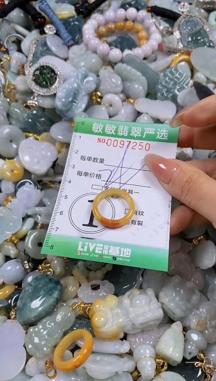 【闪购商品】翡翠颈饰未镶嵌闪购商品0097250