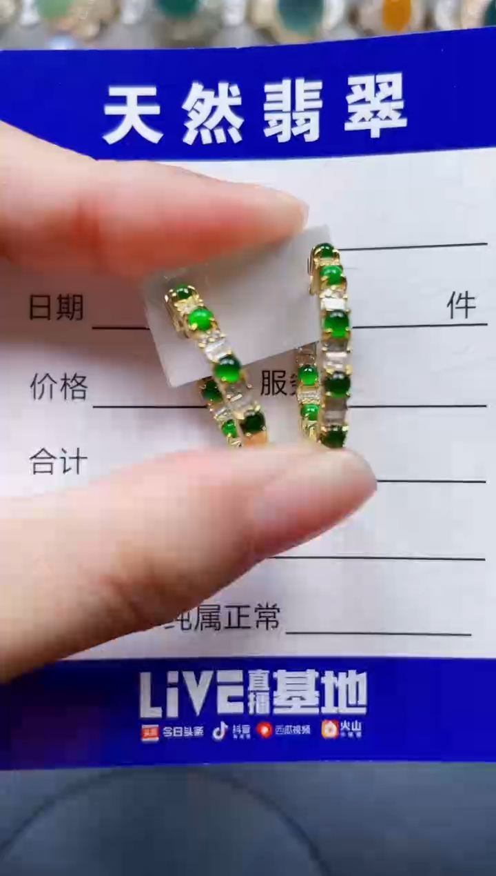 银S925镶嵌翡翠耳饰650