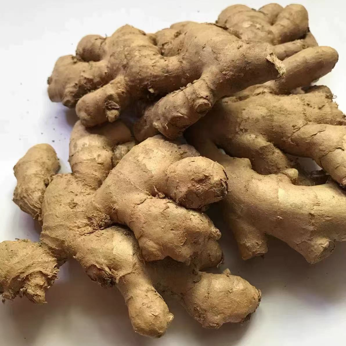 永春  小黄姜（现挖现发表面带湿介意勿拍）