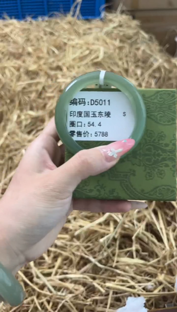 未镶嵌手镯石英质玉D5011
