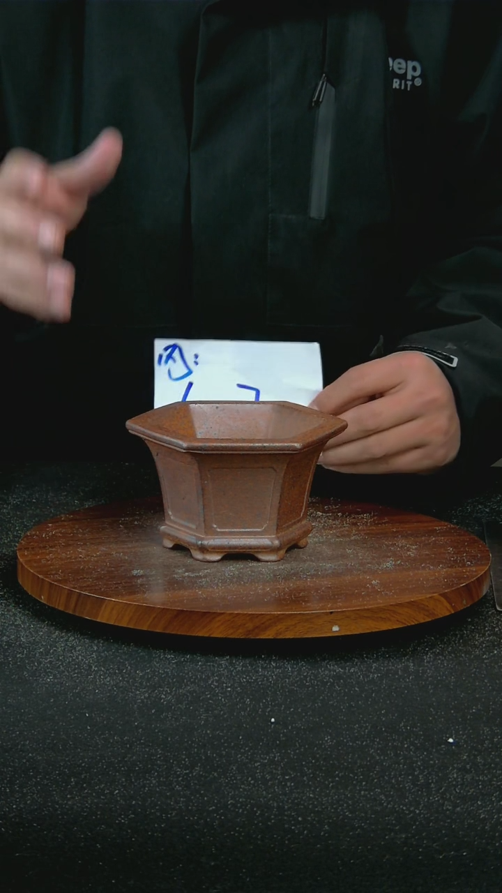 【闪购商品】紫砂P81 /10*7