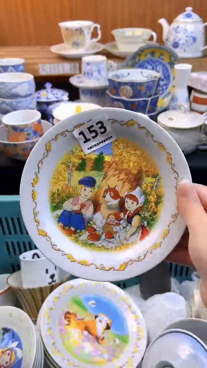 【闪购商品】瓷片153            