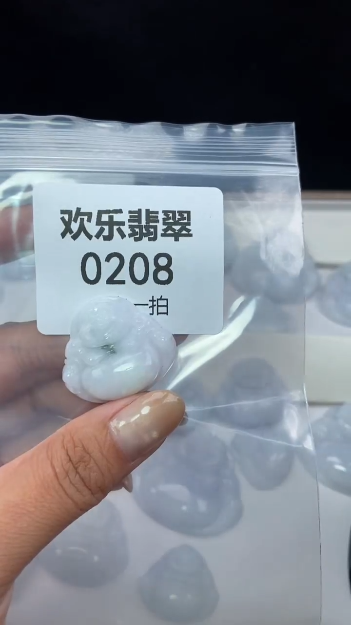 颈饰未镶嵌翡翠缅甸天然翡翠0208