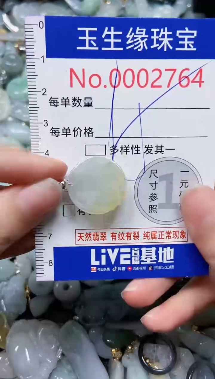 【闪购商品】翡翠颈饰未镶嵌闪购00002764