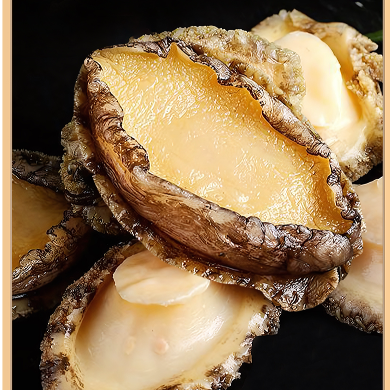 大号5 - 6厘米新鲜鲍鱼肉纯肉速冻东山岛深海生鲜海鲜水产