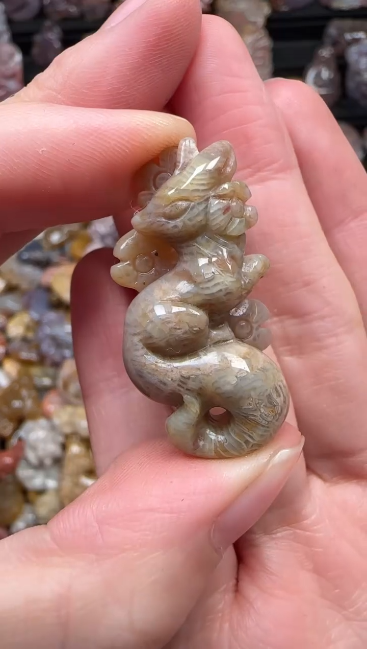 颈饰未镶嵌硅化珊瑚（珊瑚玉）282