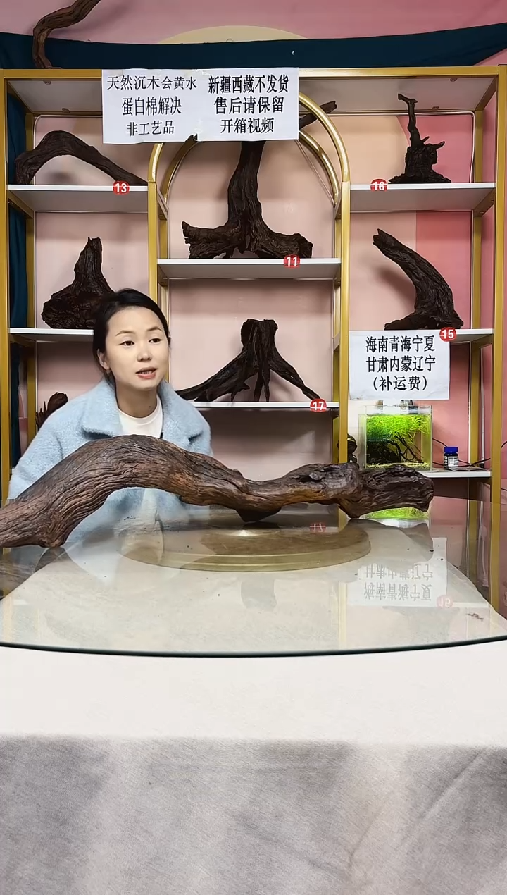 我***狂紫柚木一物一拍A728