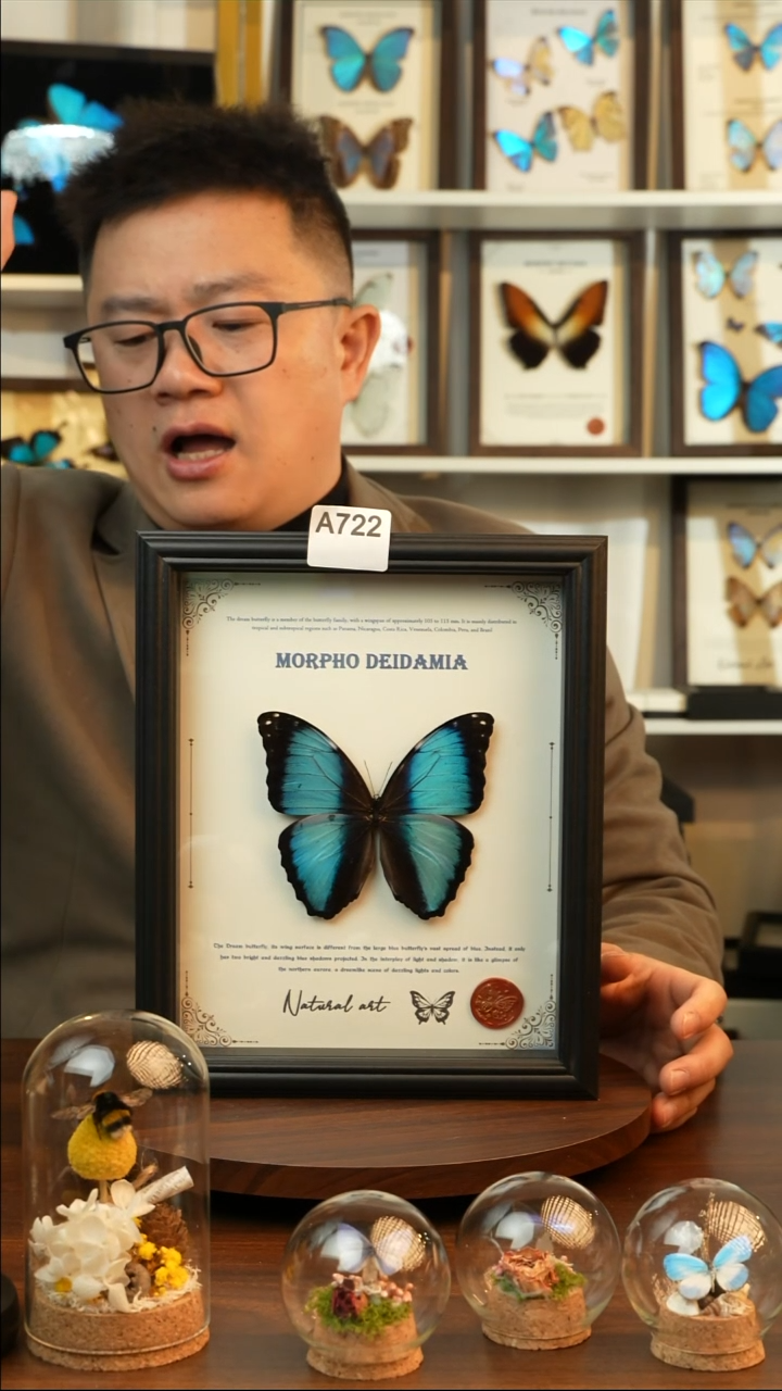 梦幻闪蝶-英文（10寸欧式黑框）A722