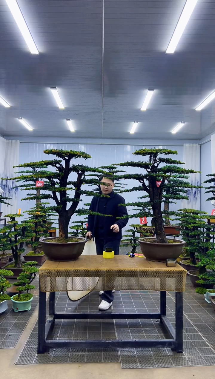 无花朵刘****爷0000000000000000000