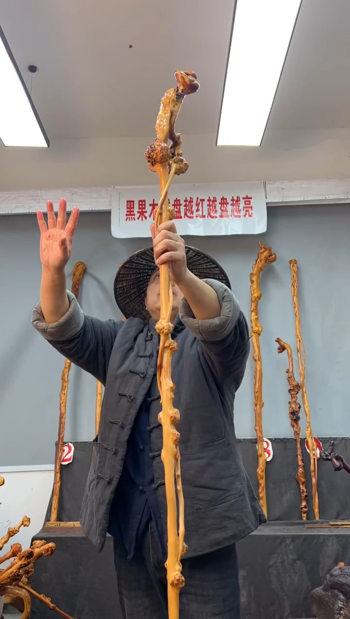 【闪购商品】黑果木其他黑果木860