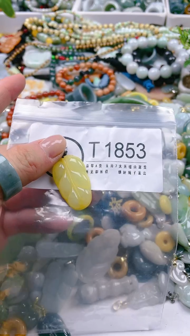 【闪购商品】翡翠颈饰未镶嵌/T/翡翠A货一图一物