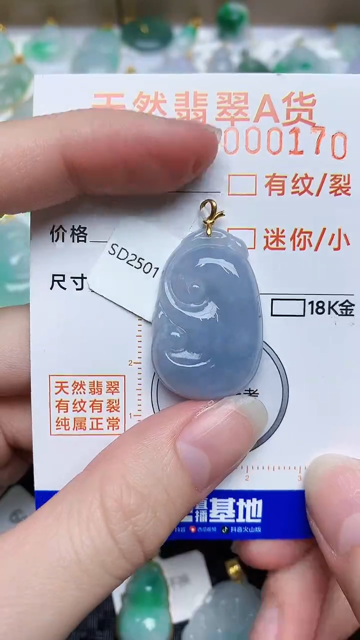 【闪购商品】翡翠颈饰18K金镶嵌543453453