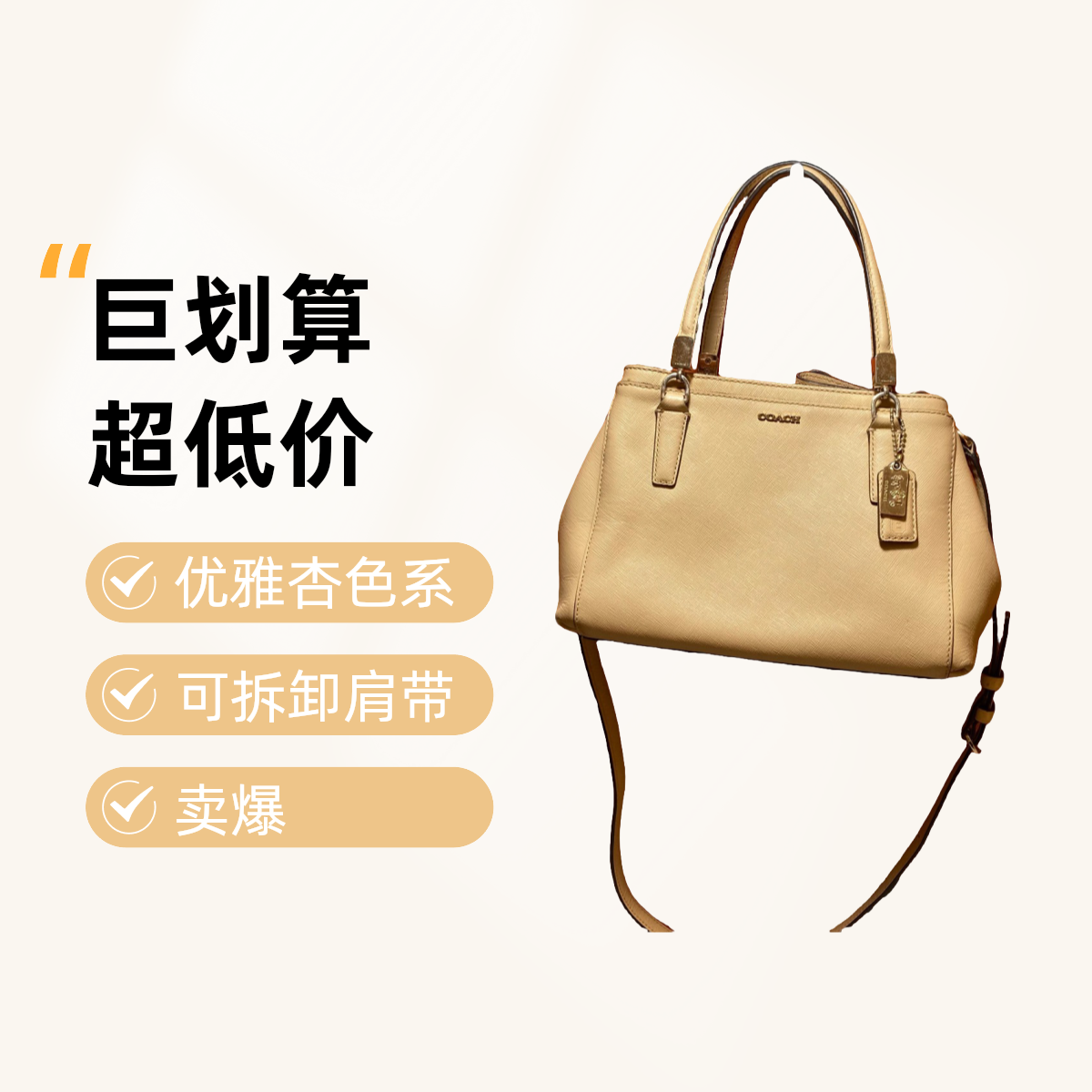 95新 品牌 95新 COACH/蔻驰 蔻驰 13707 单肩包