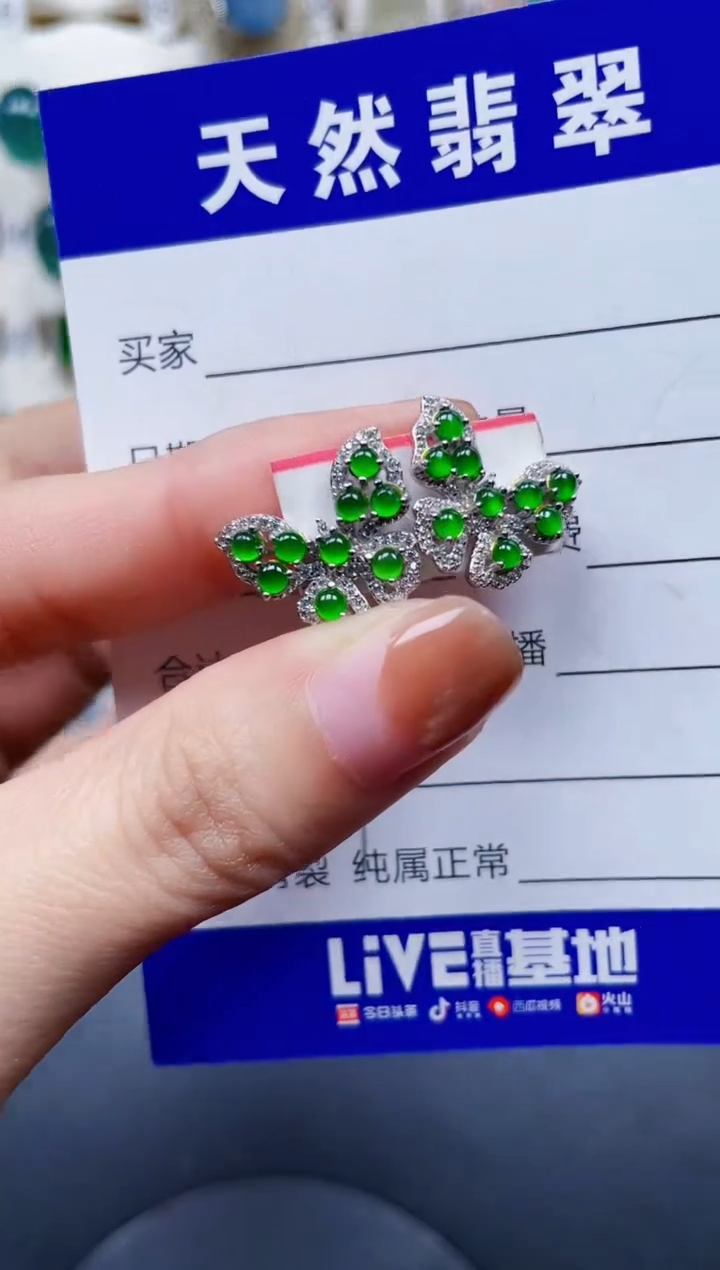 银S925镶嵌翡翠耳饰609
