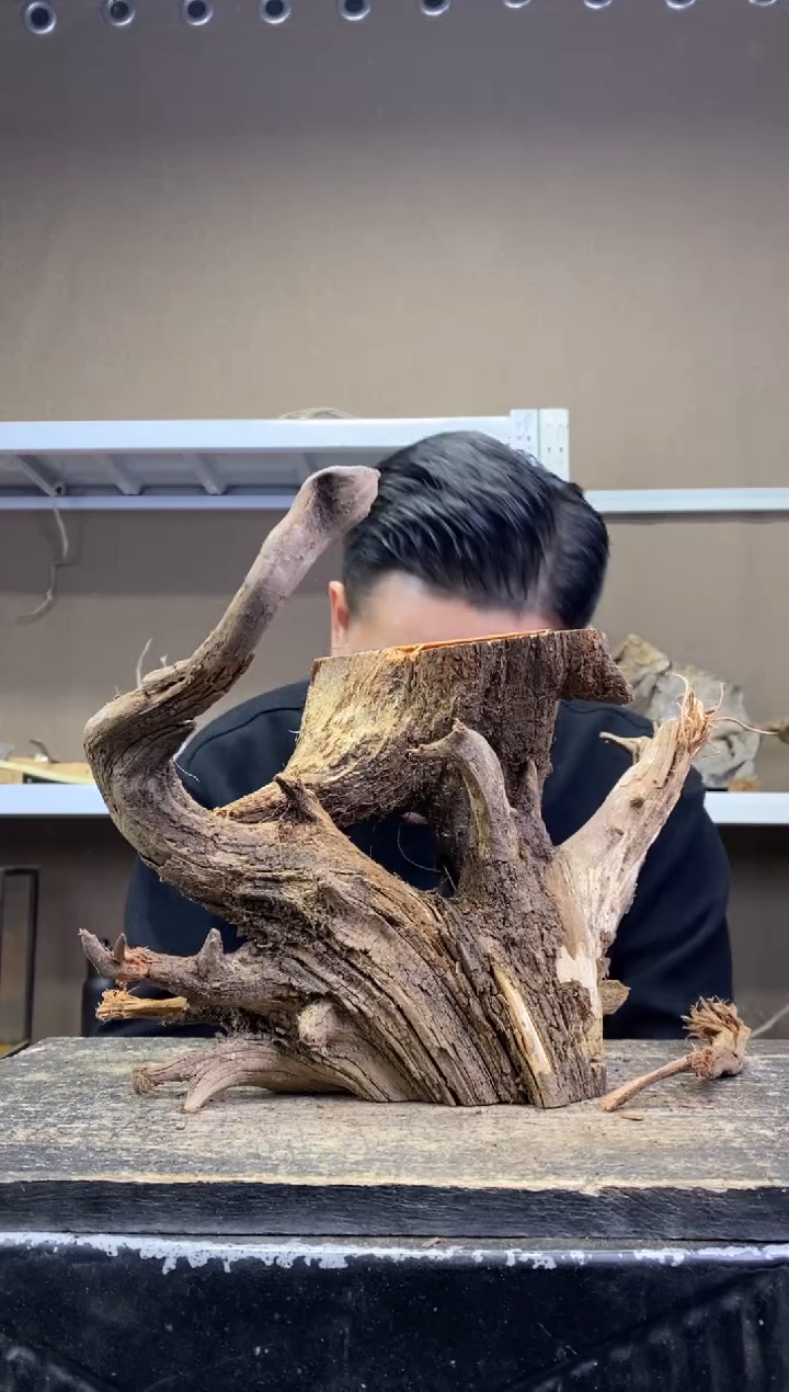 小*草小小草      20