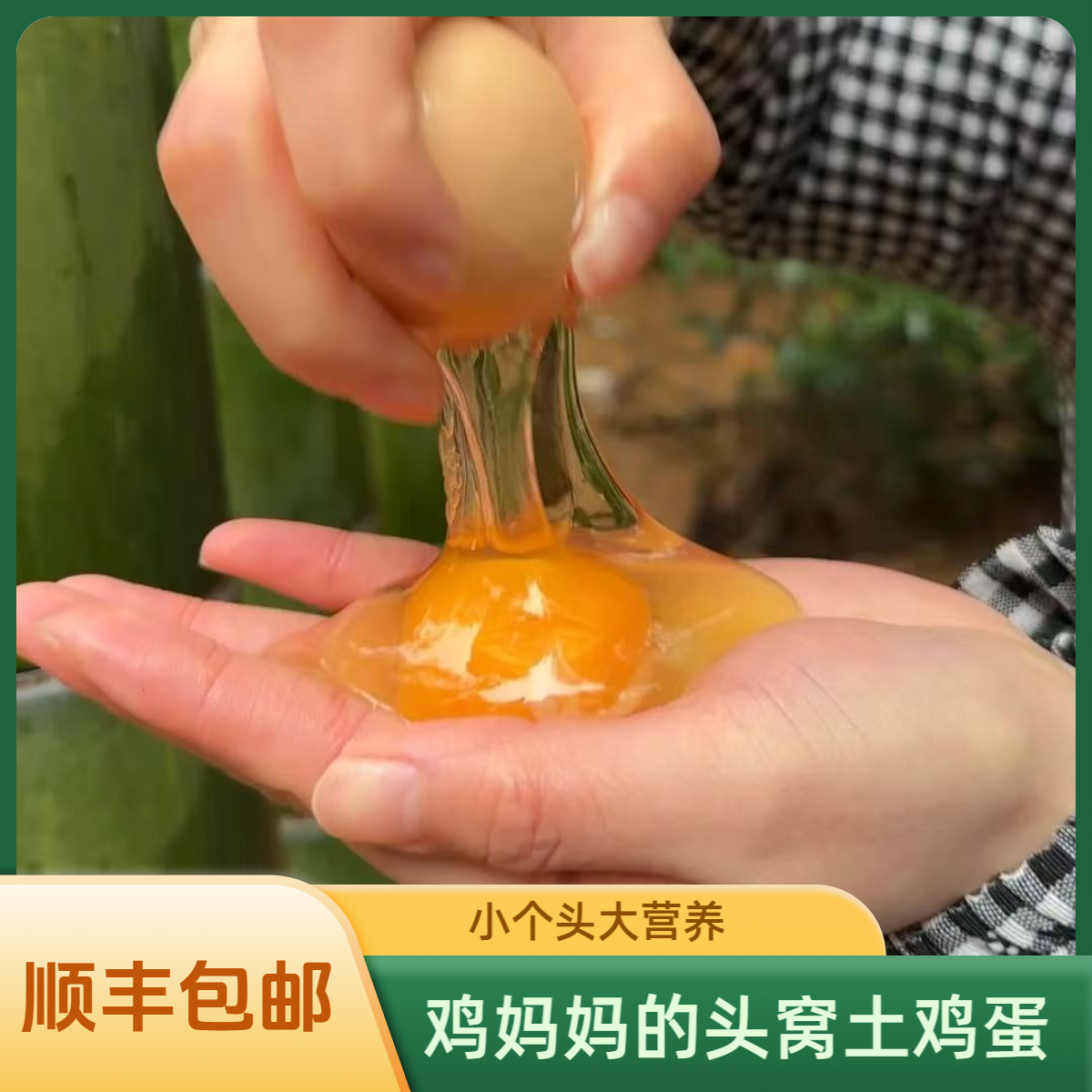 【初生蛋40枚】清远山林散养新鲜土鸡蛋头窝蛋现捡现发 30-35g/个