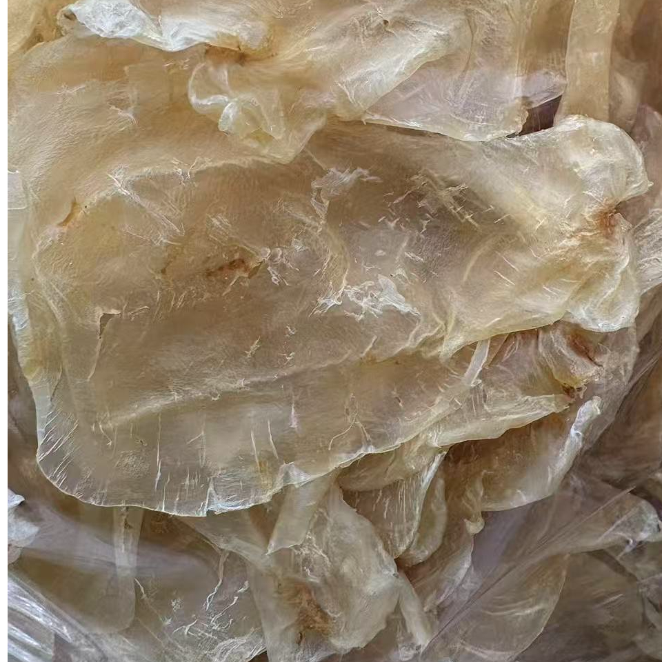 【唐总精选】蜘蛛片（大个）。。  鱼胶