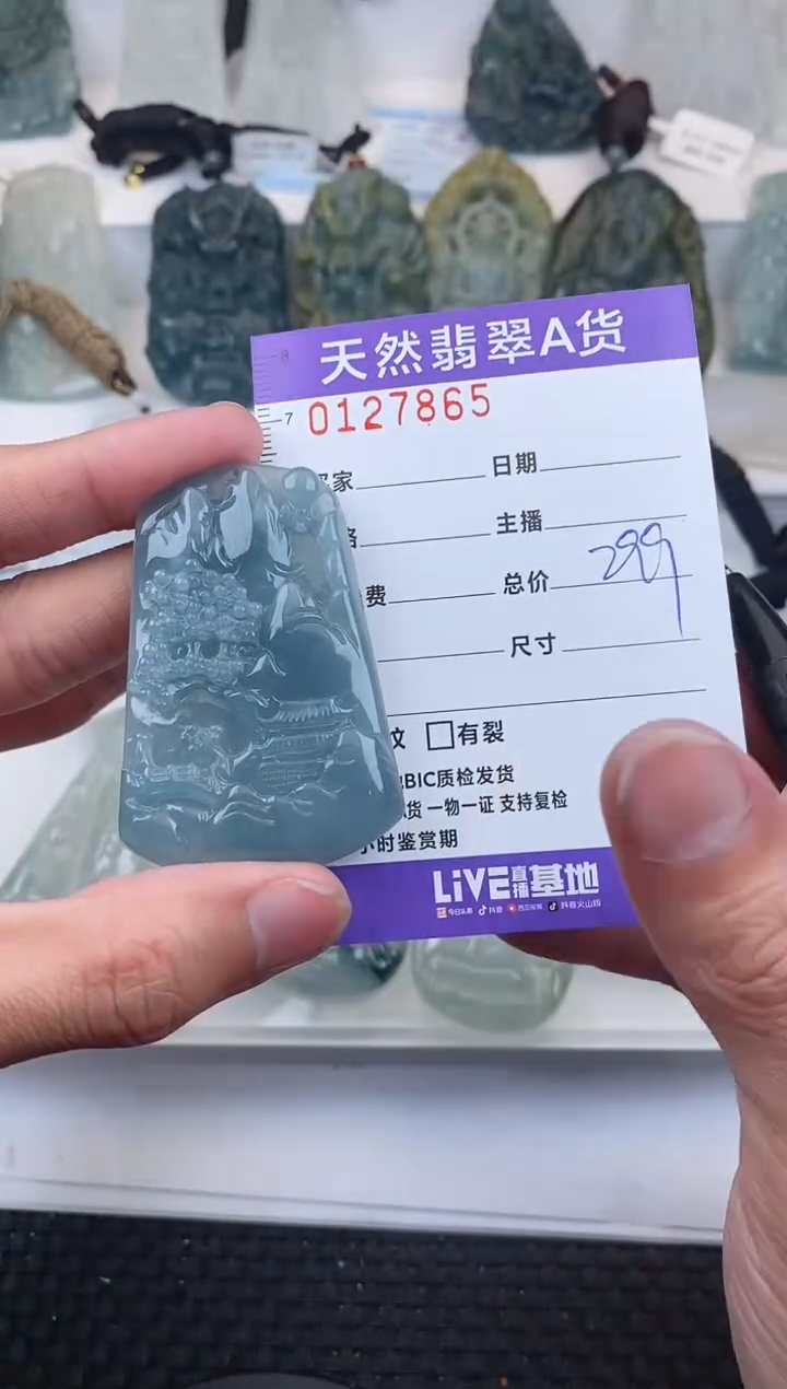 【闪购商品】翡翠颈饰未镶嵌       865